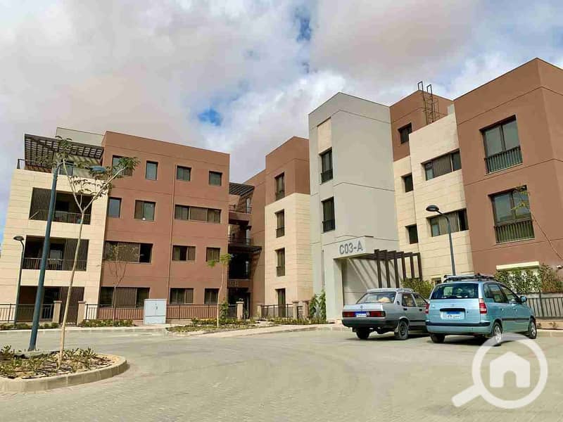 8 IMG_20251021_180117_175. jpg