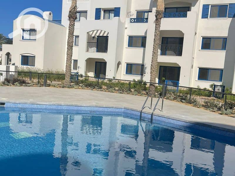 11 Untitled design - 2023-07-16T123626.988 - Copy. png