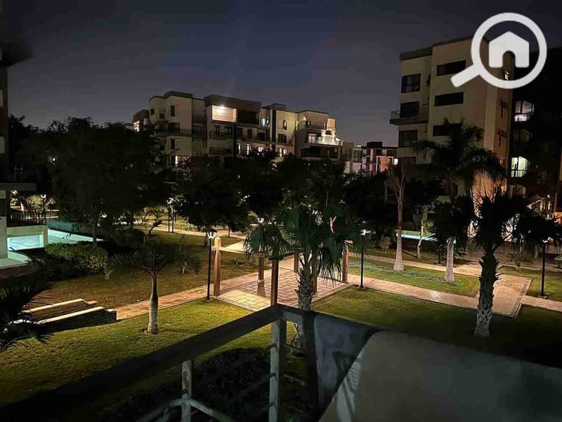 1000590272. jpg 1000590272. jpg