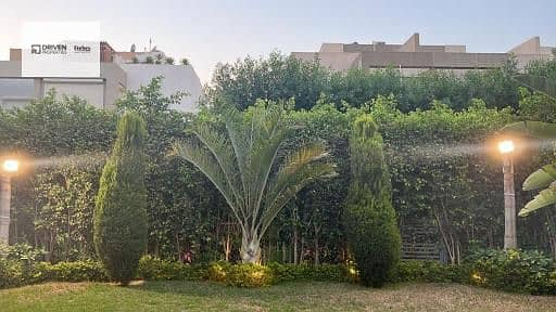 12 507c4e0f-c058-45f0-aaaa-d38d780ffb4d. jfif. jpg