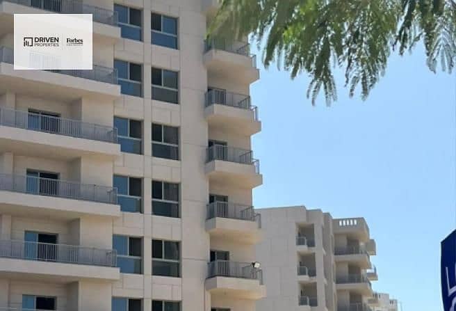 2 arkan palm 205 (15). jpg