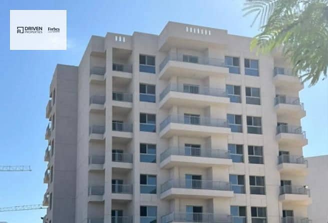 11 arkan palm 205 (5). jpg