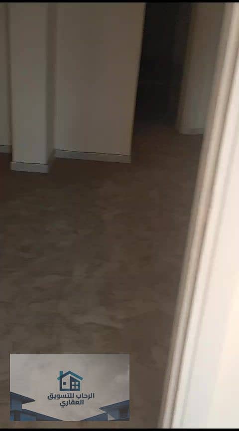 31 دور12 سموحة260م_000075. jpg