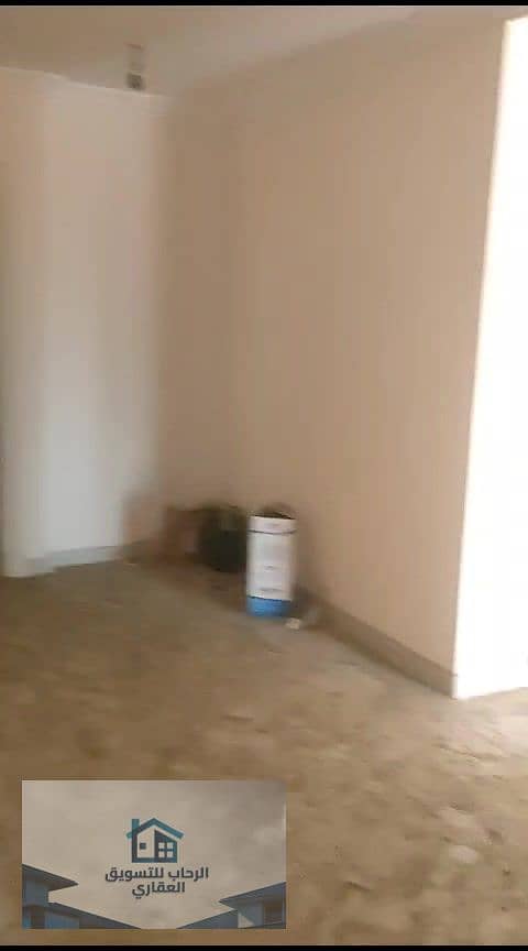 33 دور12 سموحة260م_000077. jpg