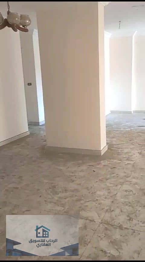 35 دور12 سموحة260م_000079. jpg