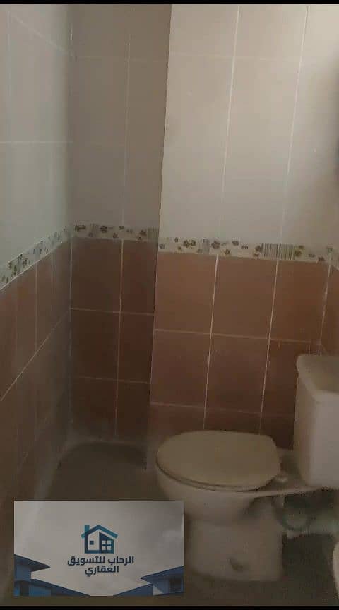 41 دور12 سموحة260م_000095. jpg