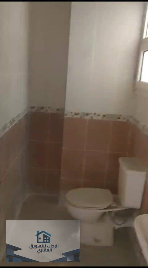 42 دور12 سموحة260م_000096. jpg