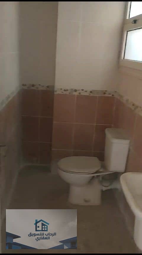 43 دور12 سموحة260م_000097. jpg