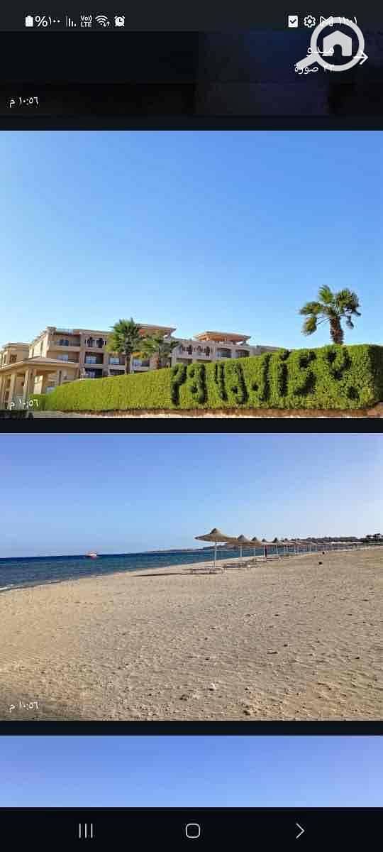 33 bb8ca300-285c-4be4-b916-ab3245a978b6. jpg