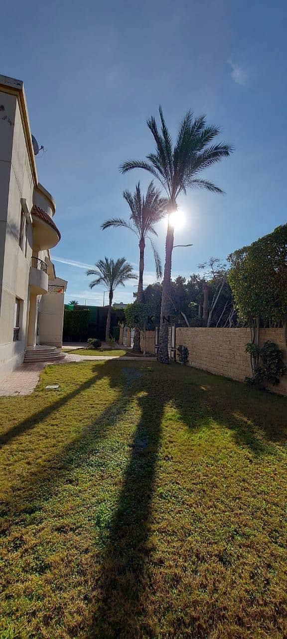 8 photo_2026-01-13 21.25. 51. jpeg