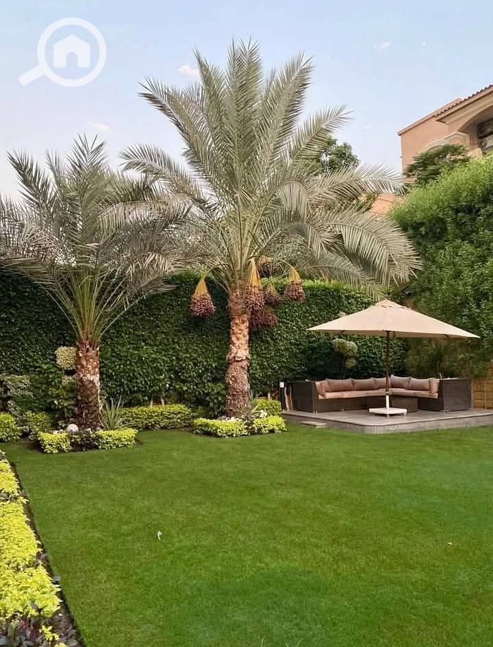 3 FB_IMG_1746233454163. jpg