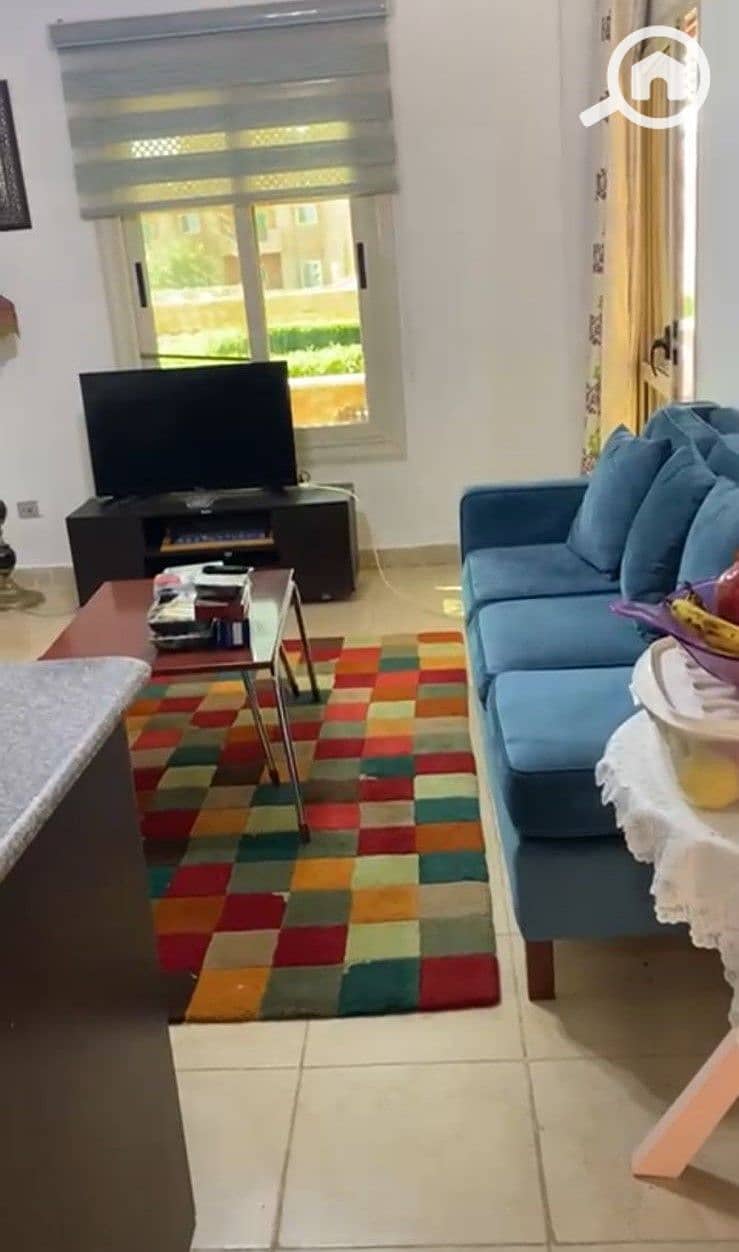 3 WhatsApp Image 2026-01-13 at 21.59. 33. jpeg