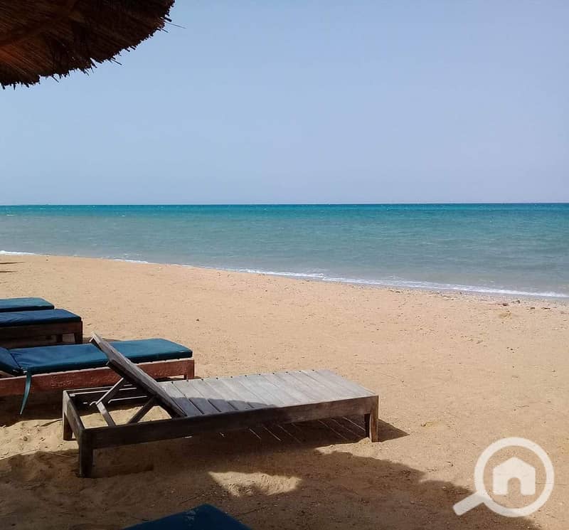 16 WhatsApp Image 2025-05-07 at 21.09. 45 (2). jpeg