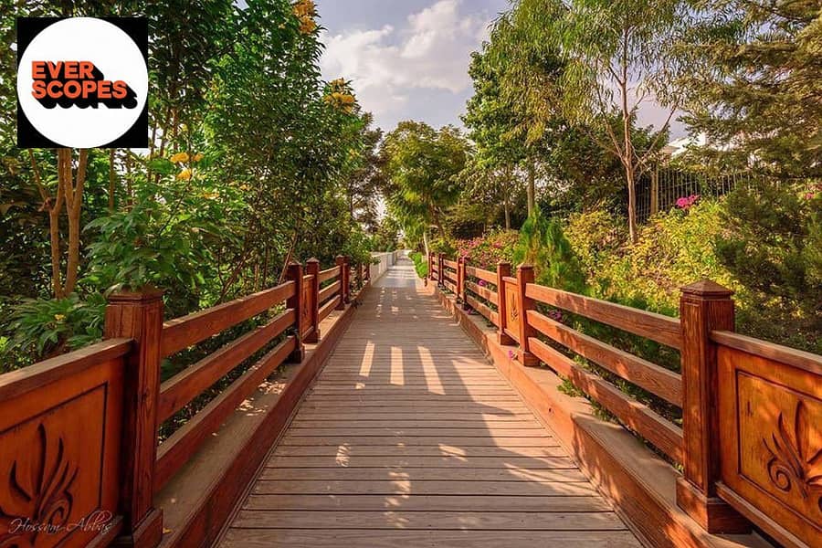 11 a65e541e-14a9-431f-b775-af92d917c284. jpg