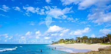 6 Capture99 - Copy. PNG