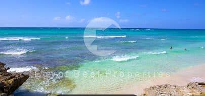 8 Capture1111 - Copy. PNG