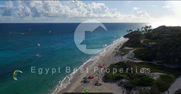 9 Capture3456 - Copy. PNG