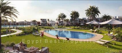 11 Capture66666. PNG