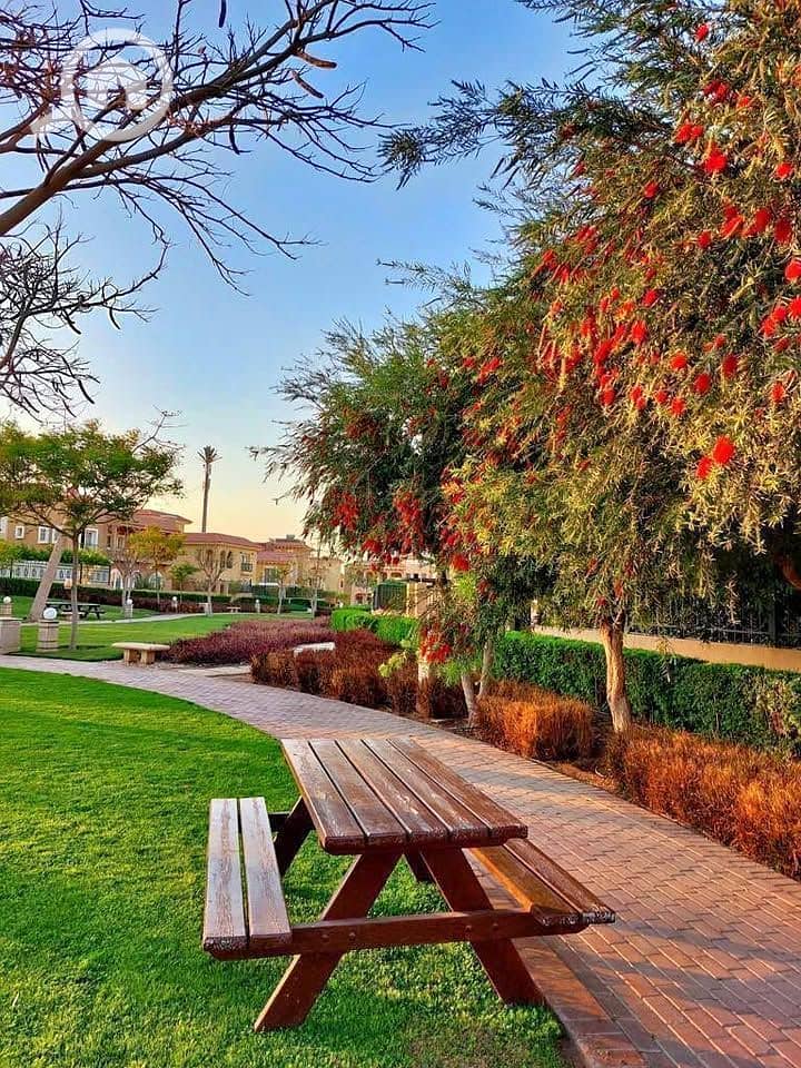 12 593598632_1884425672158018_586996450169410188_n. jpg