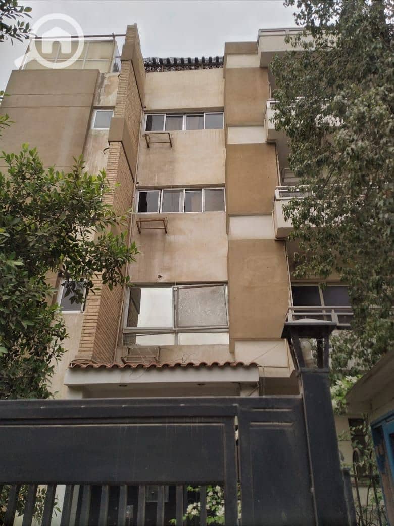 8 0dac3a4f-0404-41a2-a5a9-8eb762d6226a. jpeg