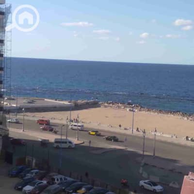 فلیٹ 2 غرفة نوم للايجار في ميامي، الإسكندرية - 1000201711. jpg