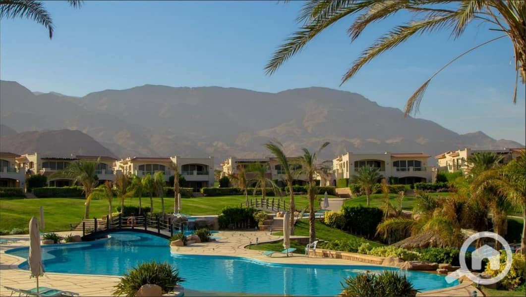 3 472724464_1795820837829911_6255604240903844371_n. jpg