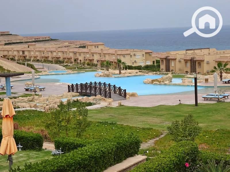 5 449631246_1008051850965587_1122943204832394682_n. jpg