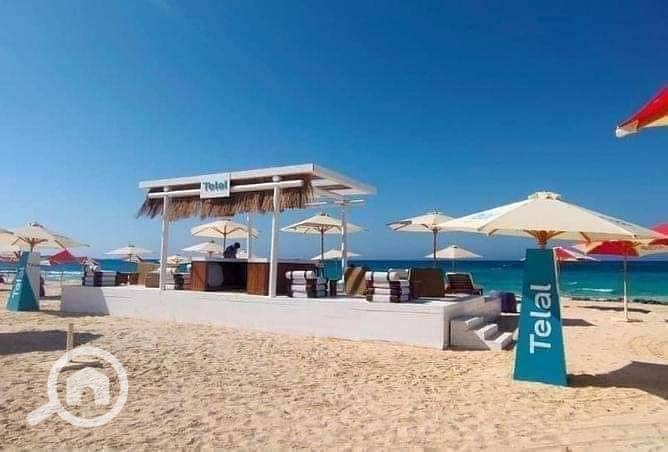 7 447898943_478823221482004_4291957744362496762_n. jpg