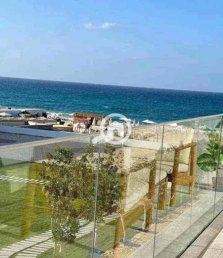 4 420a9edd-8ecc-4a11-85c7-919407c20506. jpg