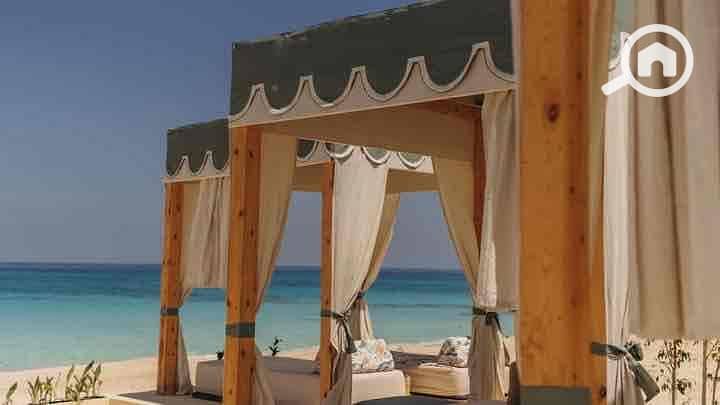 5 85748d79-8a4d-472a-8d0c-291f1fd288ce. jpg