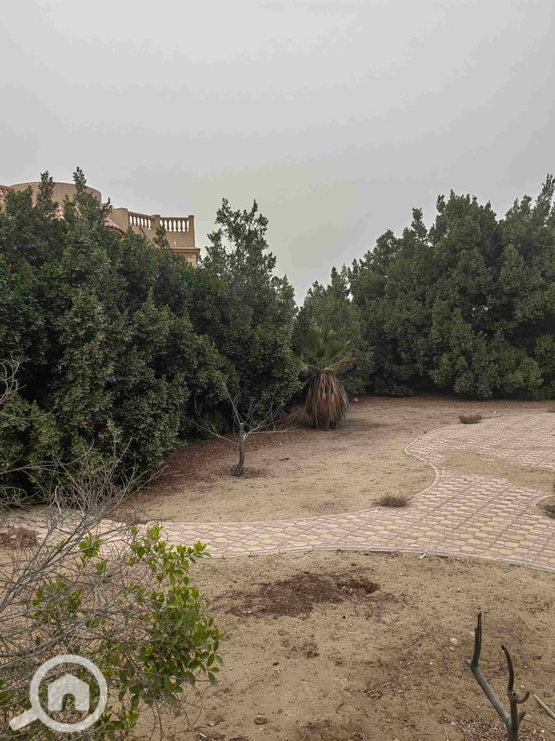 5 IMG_20260112_154419. jpg