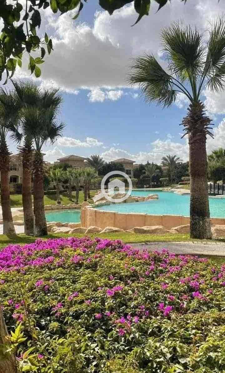 5 2042a306-3651-412f-bb97-95c85e3ededd. jpg