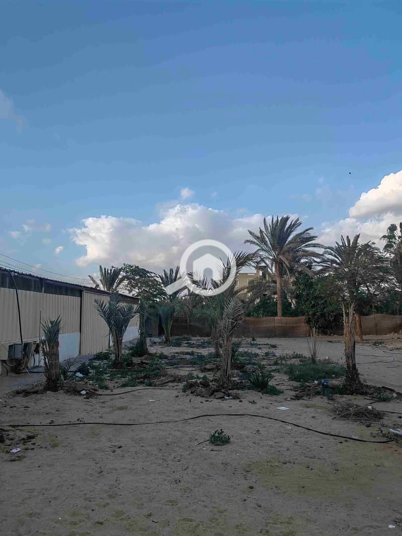 6 IMG_20260113_161257. jpg