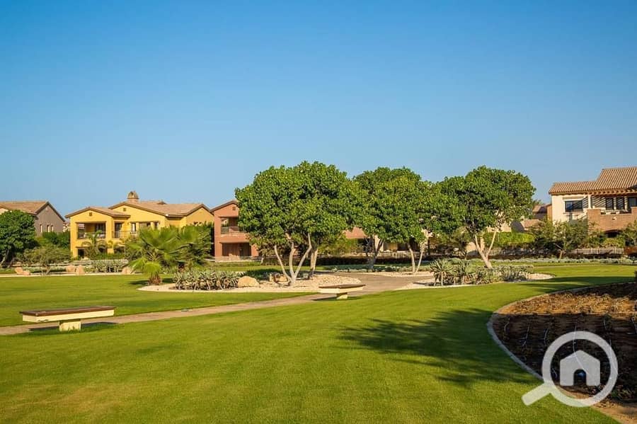 5 WhatsApp Image 2025-09-29 at 15.37. 44_679fffce. jpg