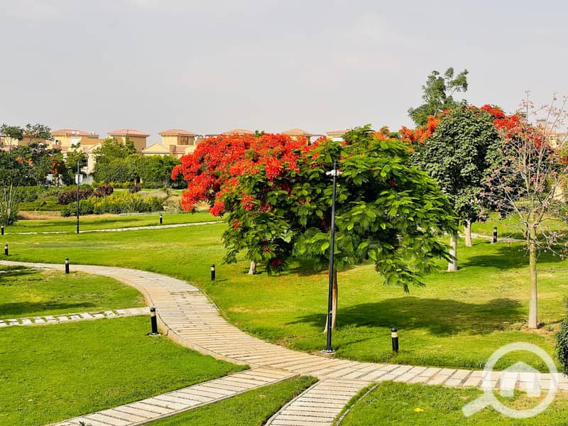 3 0de153b1-b2c0-4638-917a-1a29bde6cc21. jpeg