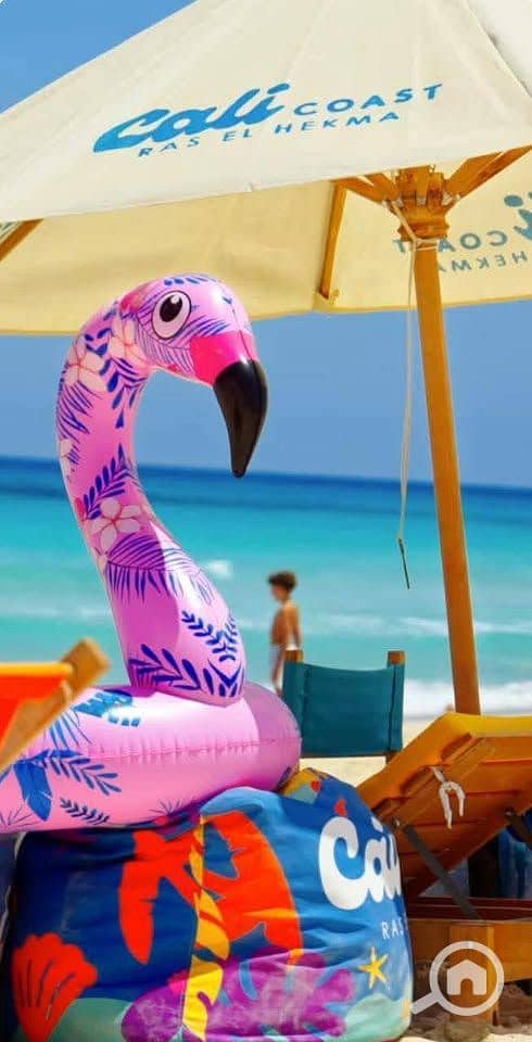 3 WhatsApp Image 2026-01-13 at 5.04. 12 PM (1). jpeg