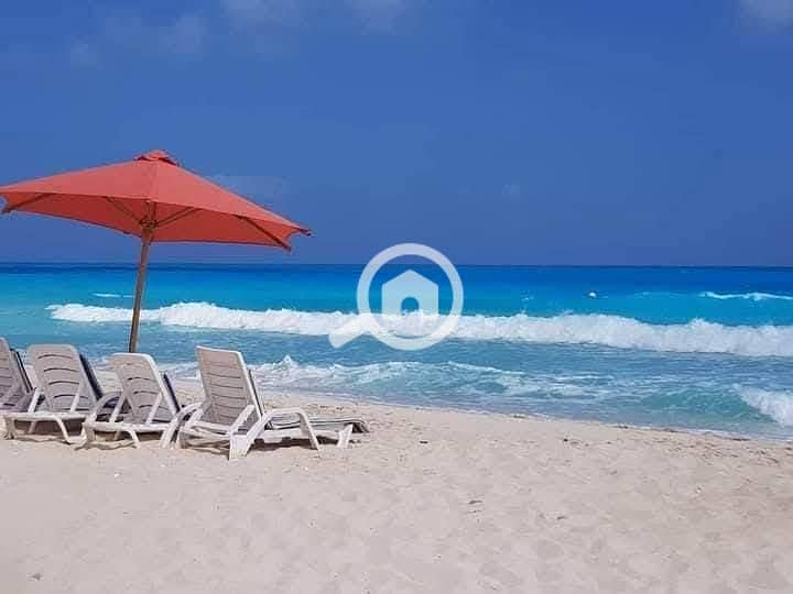 4 495383134_615786224844454_6908739216985440359_n. jpg