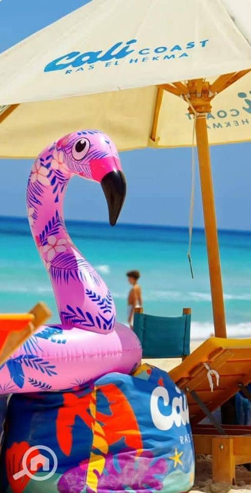 4 492203361_641200115558971_6504560334506531968_n. jpg