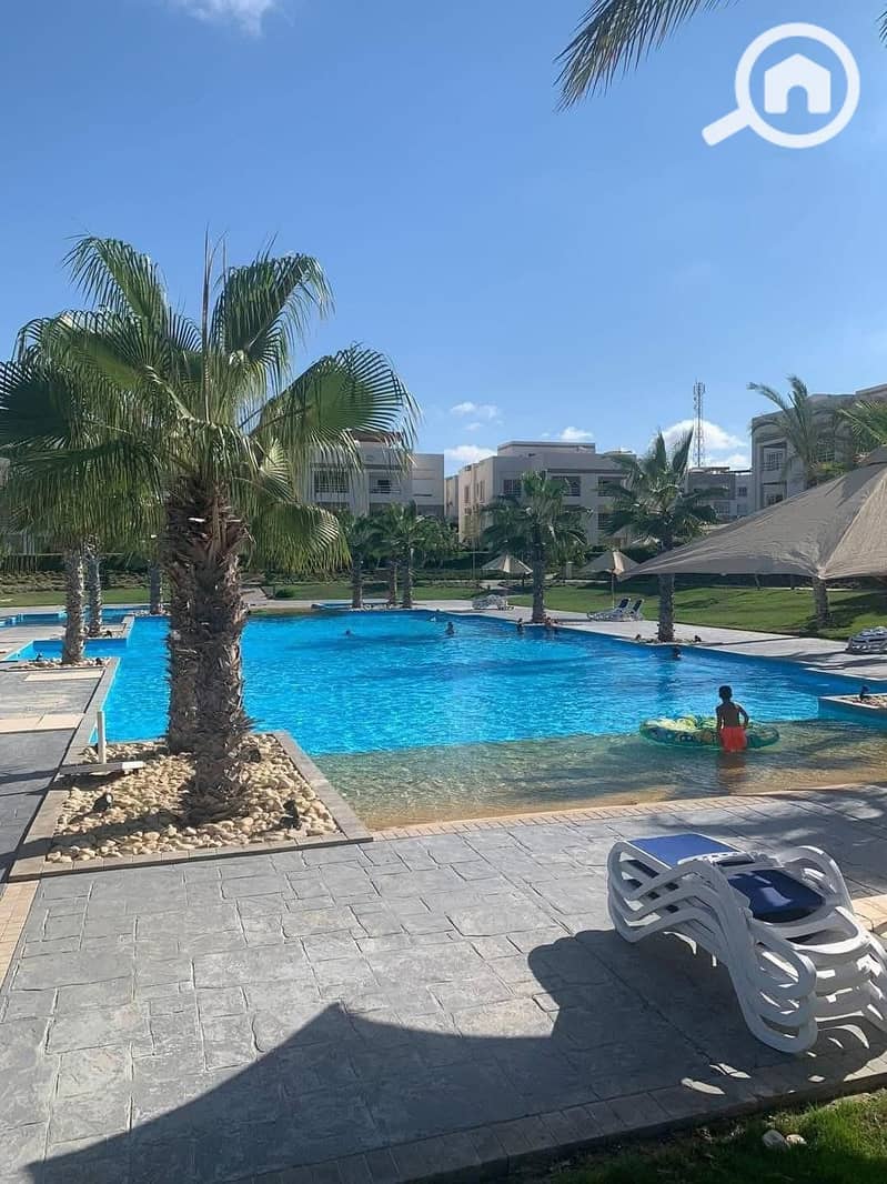 6 46844972-b91c-431c-a24a-506f06ed91b6. jpg