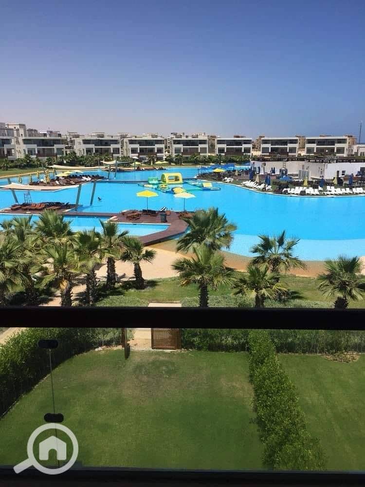 8 496003577_4097700293838474_4936040737562186712_n. jpg