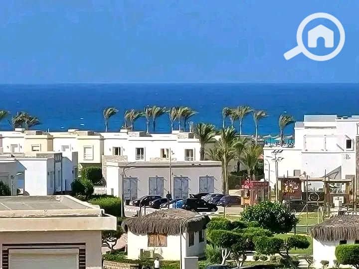 11 497575795_1030236532383298_6616753865041982720_n. jpg