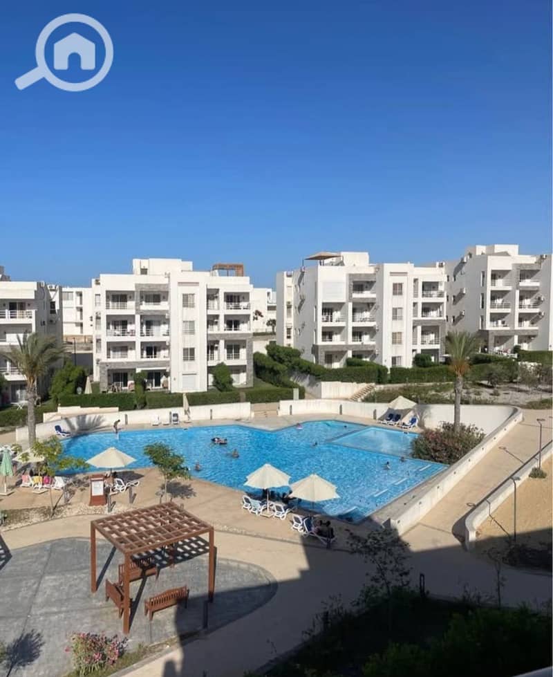 12 ae4b5b1a-abea-41a7-9042-138e51d73939. jpg