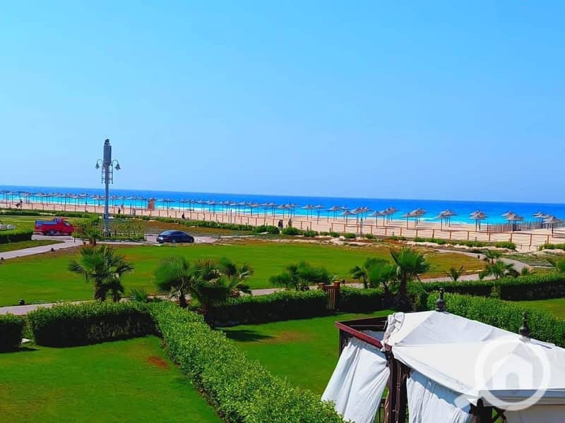 14 f73e184f-67ee-4b94-a1b5-d097535e17d5 - Copy. jpg