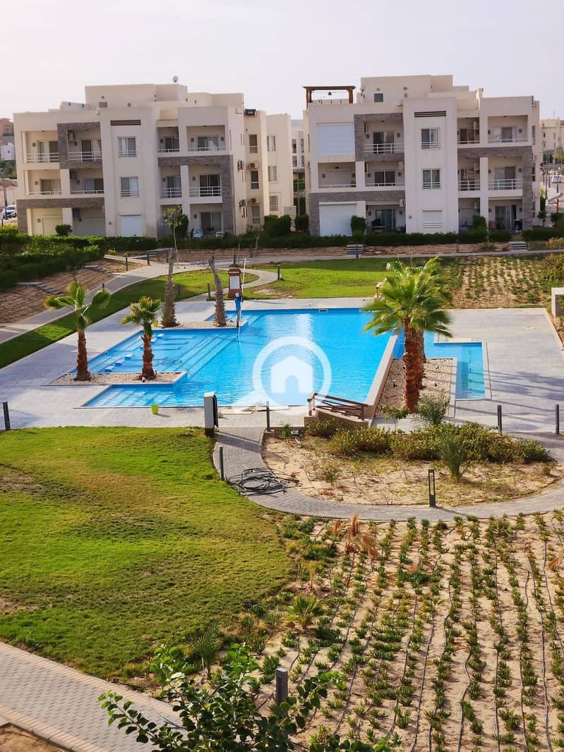 30 WhatsApp Image 2026-01-13 at 3.23. 41 PM (1). jpeg