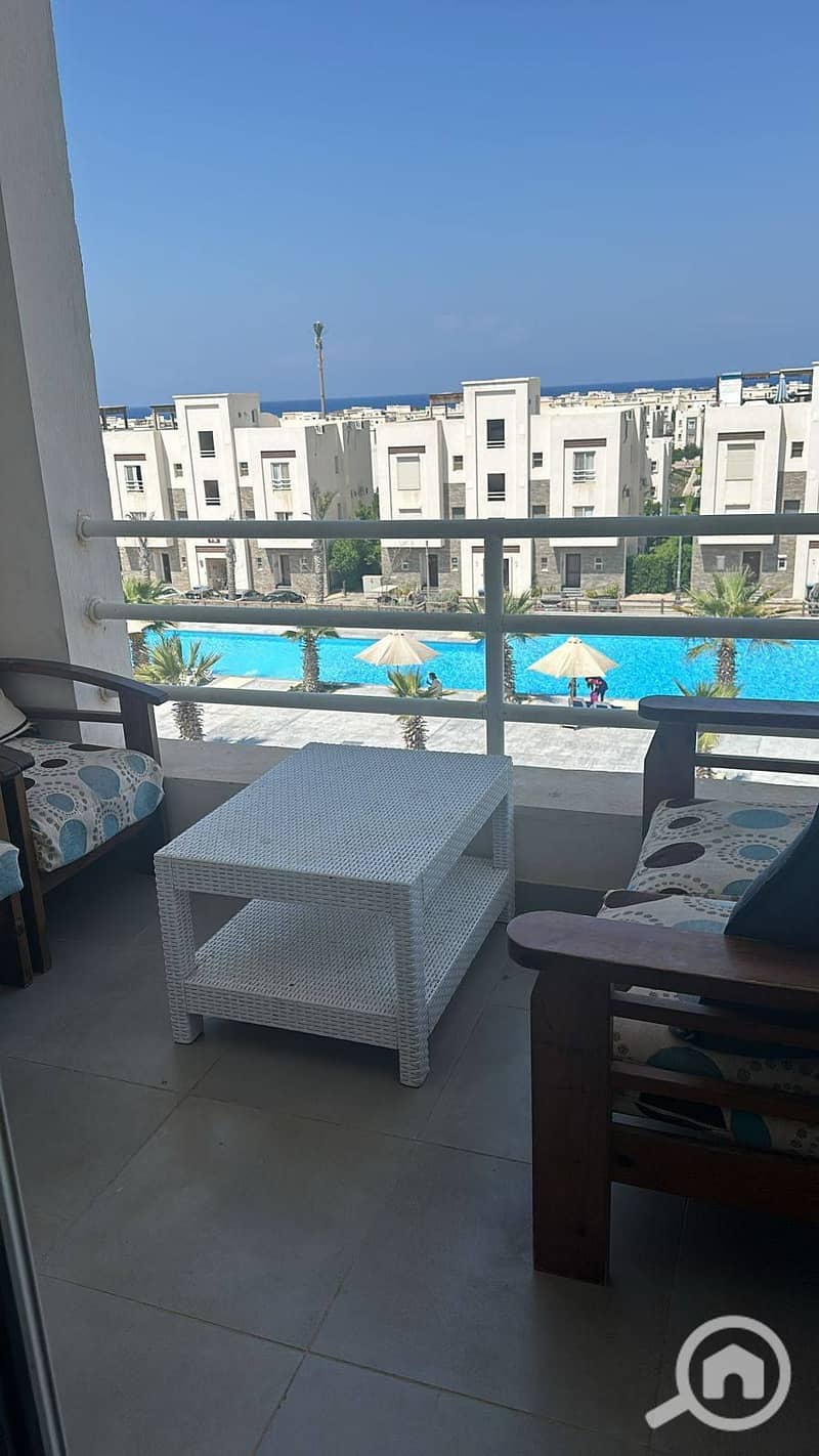 4 492003259_3987044581543241_4851057982025620682_n. jpg