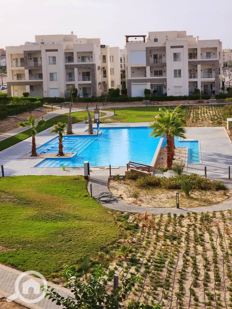 9 615201491_3173343799721157_373436898526710923_n. jpg