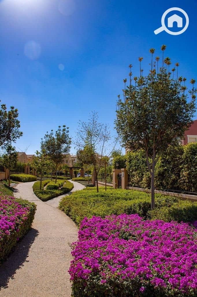 5 WhatsApp Image 2025-09-29 at 15.37. 39_011d9ca8. jpg