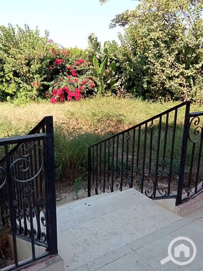 Agricultural for Sale in Markaz Badr, Beheira - IMG-20260113-WA0067. jpg