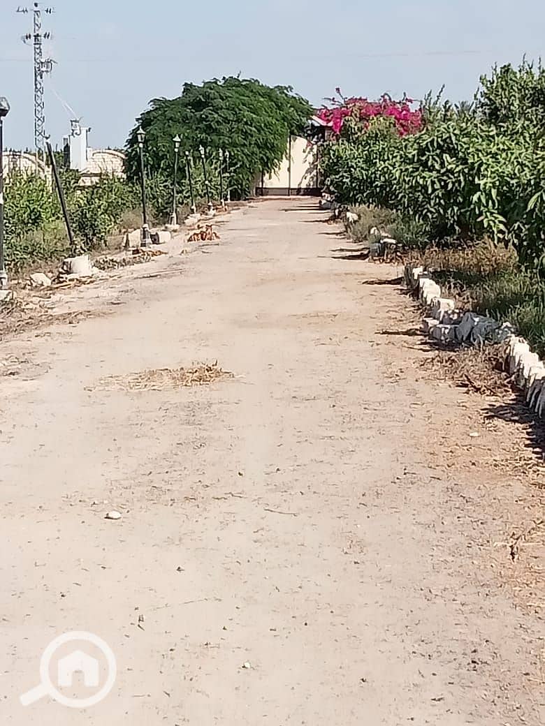 4 IMG-20260113-WA0064. jpg