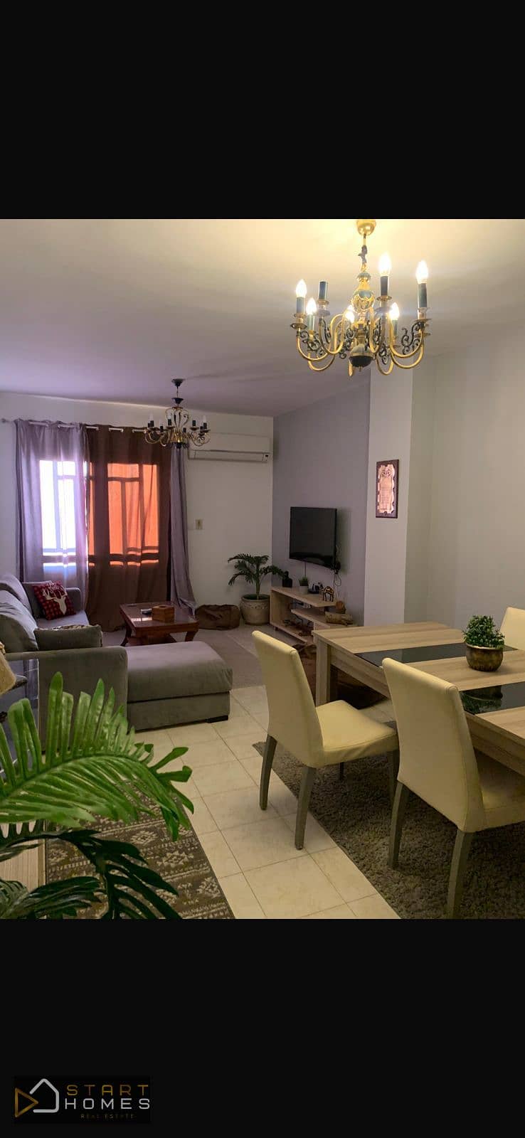 6 WhatsApp Image 2026-01-13 at 7.34. 10 PM (1). jpeg